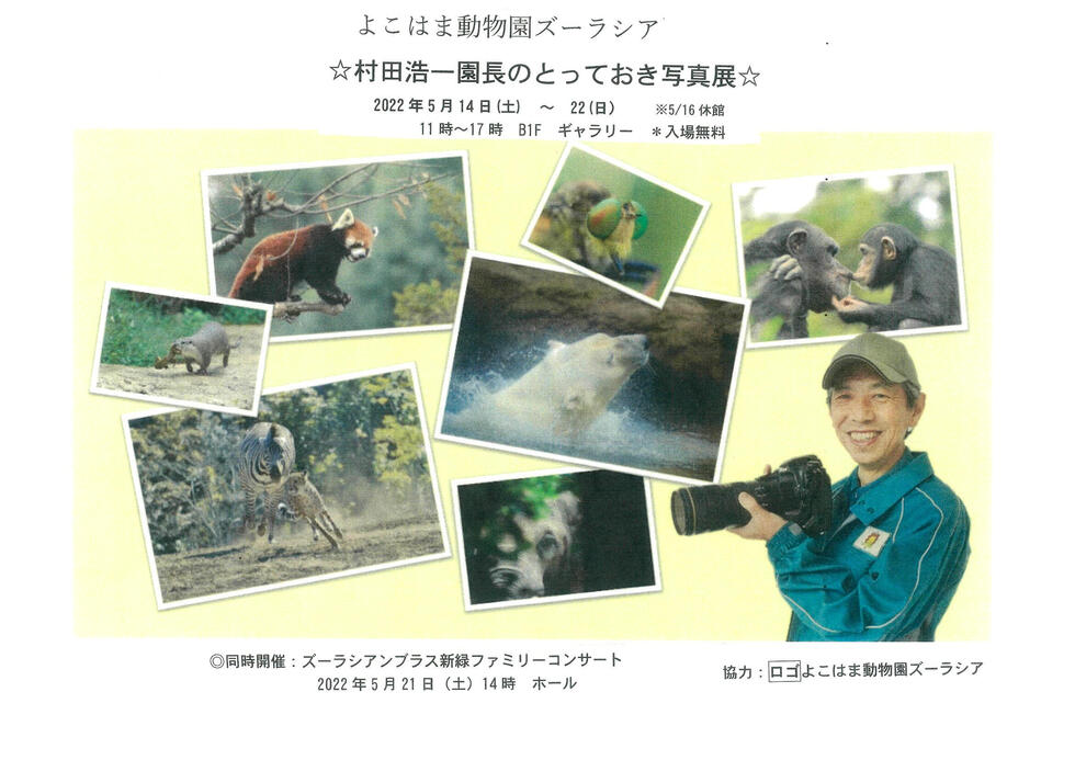 よこはま動物園ズーラシア村田浩一園長のとっておき写真展☆5/14～22☆　ギャラリーの写真